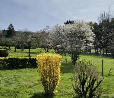 Chaulgnes House | Maison campagne-Piscine-Chaulgnes