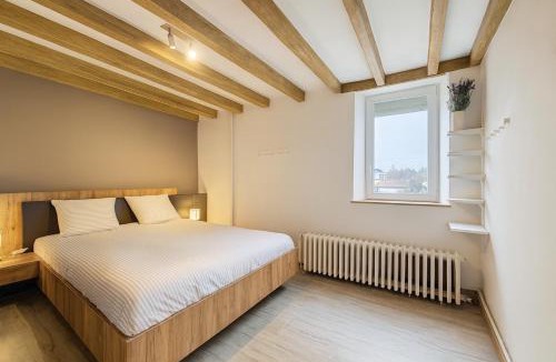 Saint-Maurice-l'Exil Apartment | Maison de la Roche