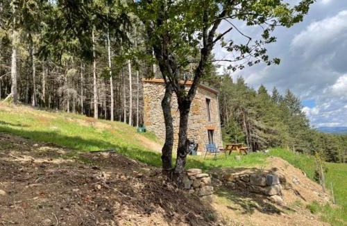 Langeac House | Maison de vigne rénovée à Langeac, nature et randonnées - FR-1-582-86