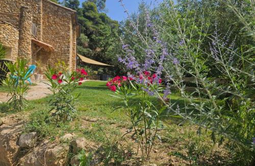 Merindol-les-Oliviers Villa | Maison du soleil