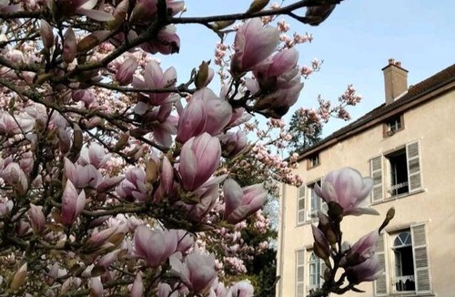 Villersexel Bed & Breakfast | Manoir des Vieilles Vignes