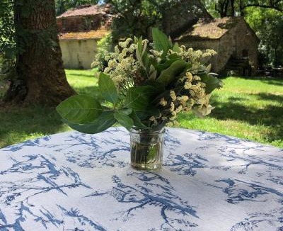 Limogne-en-Quercy Bed & Breakfast | Mas d’Aubrac