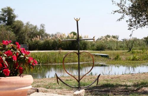 Saintes-Maries-de-la-Mer Bed & Breakfast | Mas Fandelou Adult Only