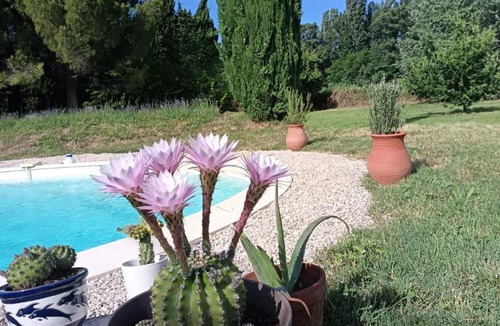 Visan Bed & Breakfast | Mas la Buissone - Maison d'hôtes