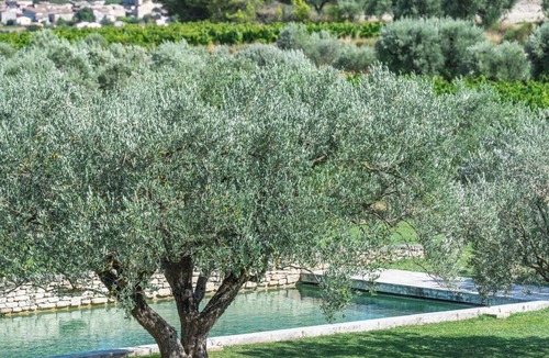Caromb House | Mas Provençal amidst vineyards, heated swimming pool 19m x 6m, WIFI