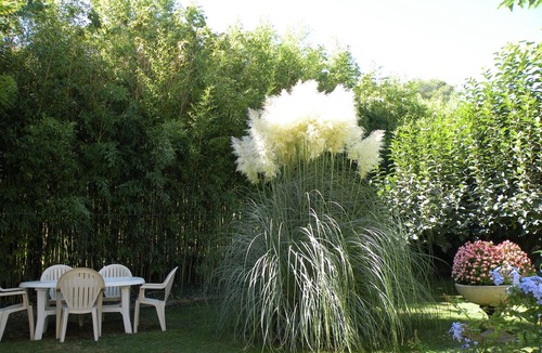 Saint-Alexandre Other | Mas provençal in wine-growing estate with swimming pool (11mx5m)