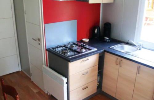 Devillac Other | Mobil Home 34m² avec Terrasse pour 6 à Dévillac - API-1-52-331