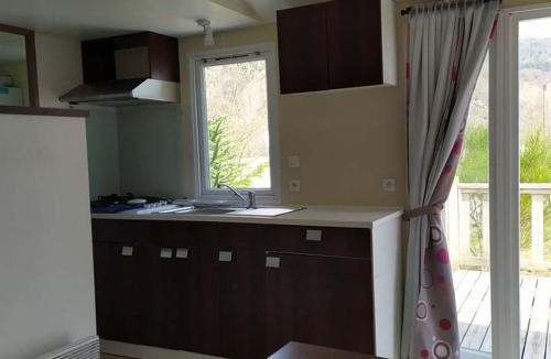Vorey Other | Mobil-home confortable avec terrasse pour 4 personnes à Vorey - API-1-52-291