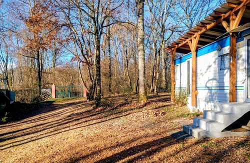 Couret House | Mobile home.on a unique wooded site at 485 m altitude. with various birds.