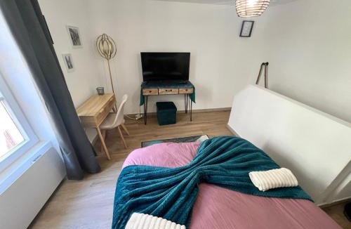 Montbeliard Apartment | Montbel'appart Le Duplex avec Jardin et Terrasse