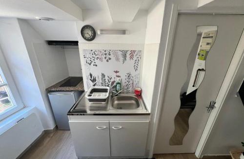 Montbeliard Apartment | Montbel'appart Le Duplex avec Jardin et Terrasse