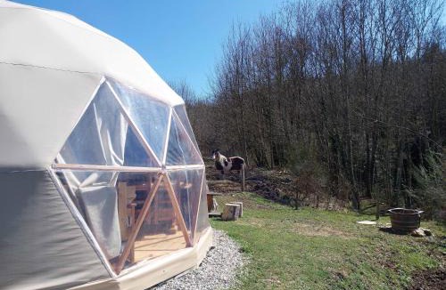 Saint-Julien-Labrousse Other | Mush's rooms