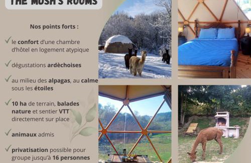 Saint-Julien-Labrousse Other | Mush's rooms