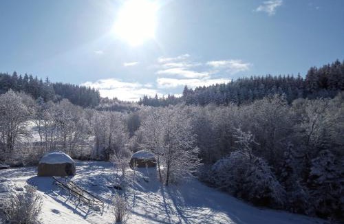 Saint-Julien-Labrousse Other | Mush's rooms