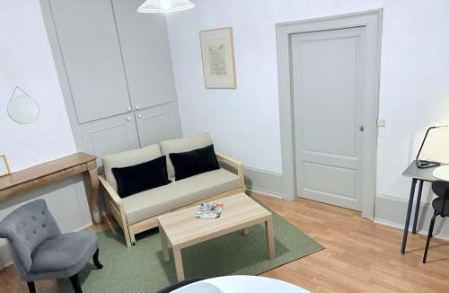Besancon Old Town Apartment | - N13 - Appartement calme et spacieux, centre ville