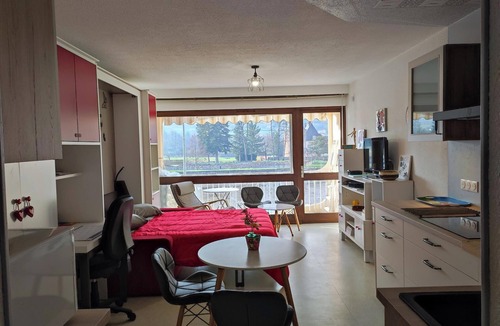 Chauffailles Apartment | Nice studio for 2 or more people with view of small lake