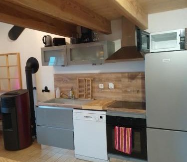 Saint-Jacques-des-Blats Apartment | Nid cozy au Lioran