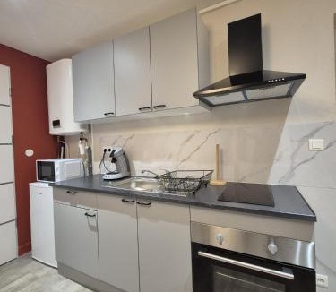Cusset Apartment | Nid de Cusset - Coeur de Cusset