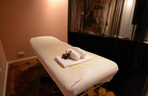 Romans-sur-Isere Apartment | Noti room Spa & sauna au cœur de Romans