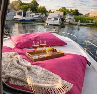 Saint-Jean-de-Losne Boat Rental | Penichette habitable max 4-5 pers terrasse vue sur l'eau ST JEAN DE LOSNE