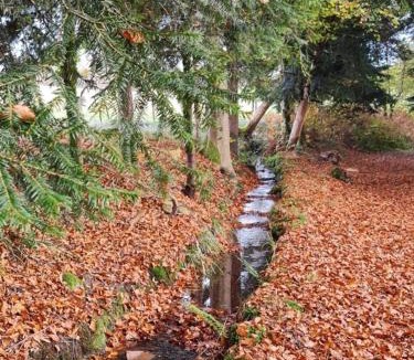 Vallee du Breuchin Bed & Breakfast | Pied des Milles Etang - Les Capucins