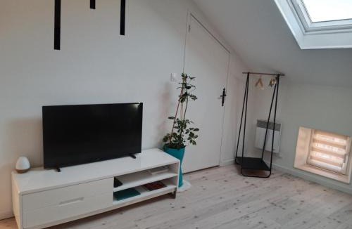 Luxeuil-les-Bains Apartment | Pounette, appartement T2, centre thermes Luxeuil