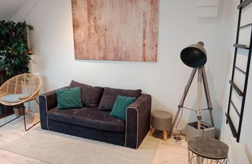 Luxeuil-les-Bains Apartment | Pounette, appartement T2, centre thermes Luxeuil