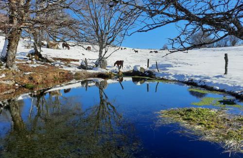 La Trinitat Apartment | Séjour à la ferme au cœur de l`Aubrac
