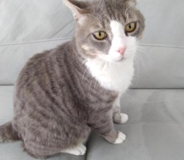 Grand Besancon House | Séjour chaleureux chambre chez l habitant