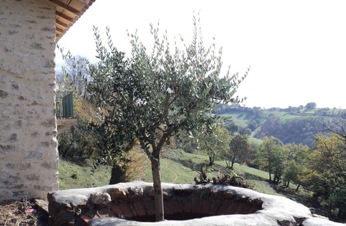 Firmi House | Small stone house near the village of AGNAC (15km from CONQUES)