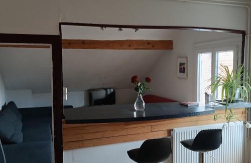 Clermont-Ferrand Apartment | Sous Les TOITS ARVERNE