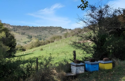 Clairvaux-d'Aveyron House | Spacious Charming House for 12 – Vineyard Views & Tranquility for Families/Friends/Sports Groups