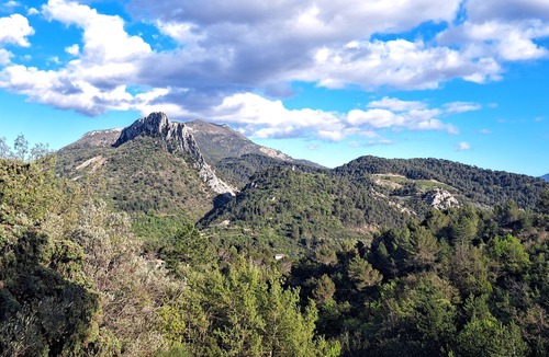 Buis-les-Baronnies House | Spacious room with view of Mont Ventoux
