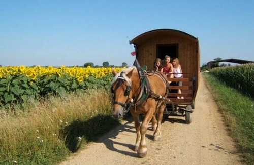 Ecleux House | STAYS IN ROULOTTE WITH HORSE "DISCOVERY OF THE VAL OF LOVE" AND ROOMS D HOTES