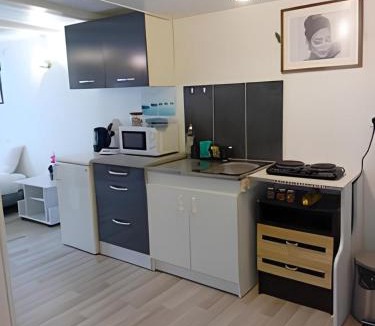 Chavigny Apartment | Studio Chavigny avec wifi