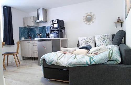 Luxeuil-les-Bains Apartment | Studio Colibri centre historique