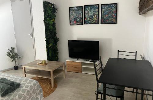 Annonay Apartment | Studio confortable
