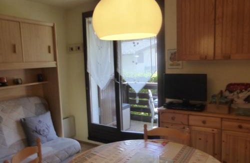 Samoens Apartment | Studio cosy au centre de Samoëns - Animaux admis - FR-1-629-56