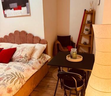 Chalon-sur-Saone Apartment | Studio cosy en plein centre