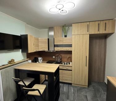 Chalon-sur-Saone Apartment | Studio