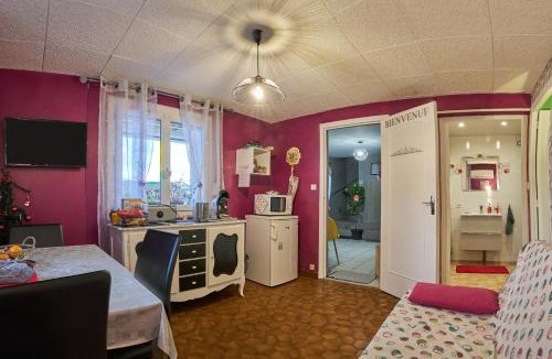 Saint-Victor-de-Cessieu Apartment | Studio