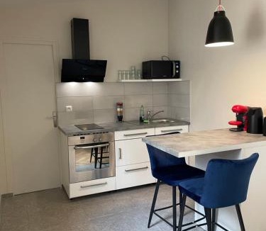 Vitry-sur-Seine Apartment | Studio