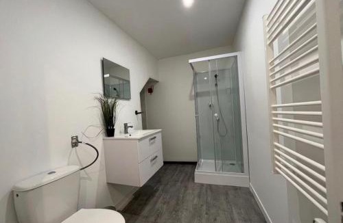 Gray Apartment | studio gray centre parking WiFi confort