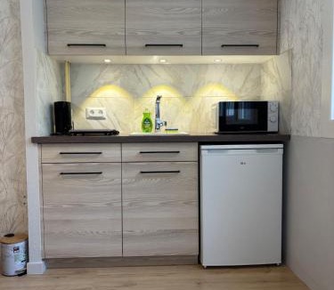 Bourbonne-les-Bains Apartment | Studio neuf proche thermes