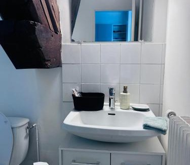 Up 1.5 Saint-Ferreol Apartment | Studio Pergaud