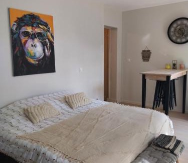 Vals-les-Bains Apartment | Studio vals les bains