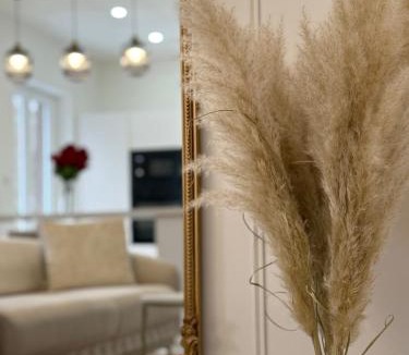 Capavenir-Vosges Apartment | Sublime logement neuf