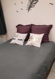 Cuisery Apartment | superbe appartement de 40m2 avec parking gratuit sur place