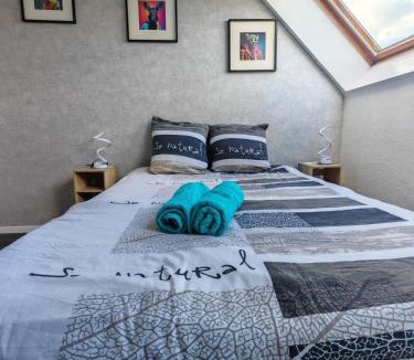 Longvic Apartment | Superbe cocon de 44m2