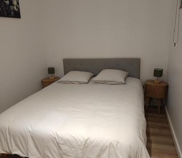 Vals-les-Bains Apartment | T2 cosy en RDC idéal séjours & cures